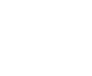 ACIC24_logo_white-1 ACIC24_logo_white-1